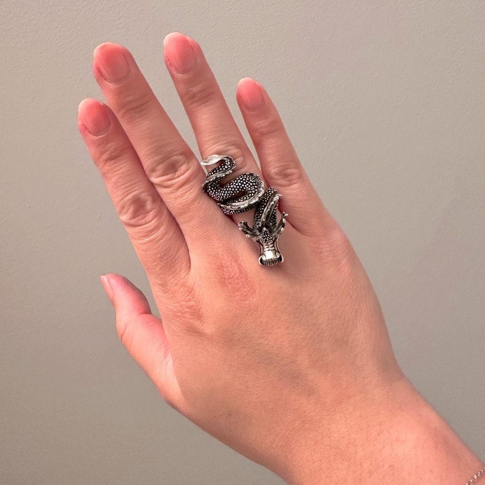 Dragon Ring - image 1